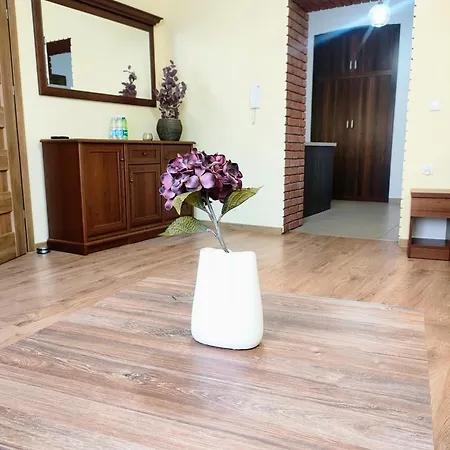Apartament Plac Katedralny Тарнув Екстер'єр фото